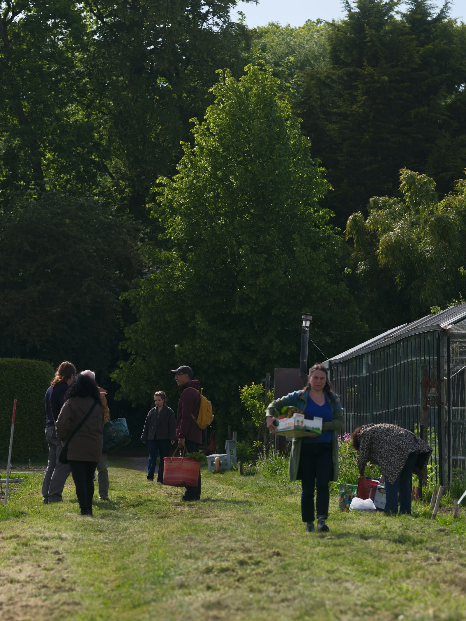 Neighbors working together in a shared community garden