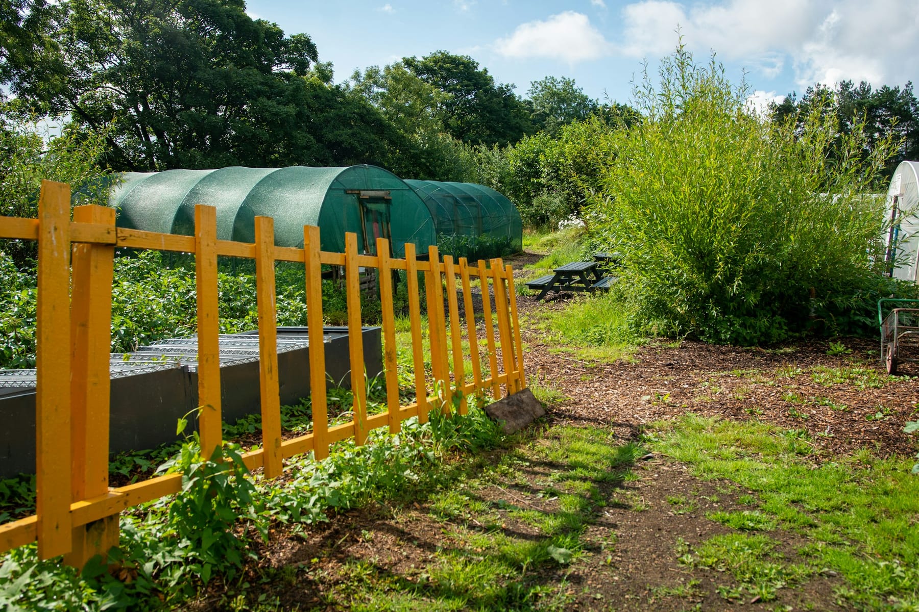 Neighbors tending a shared garden and gathering space